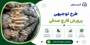 طرح پرورش قارچ صدفی