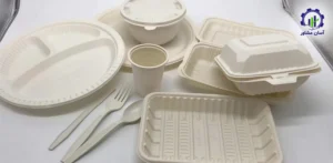 بررسی بازار داخلی و خارجی ظروف یکبار مصرف گیاهی