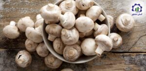 طرح توجیهی احداث فارم پرورش قارچ دکمه ای