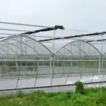 طرح توجیهی احداث گلخانه دریایی