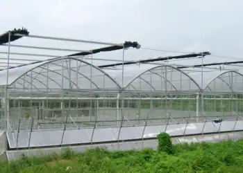 طرح توجیهی احداث گلخانه دریایی