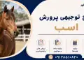 طرح پرورش اسب