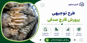 طرح پرورش قارچ صدفی
