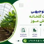 طرح احداث گلخانه پرورش موز