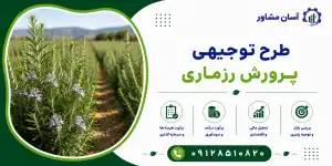 طرح پرورش رزماری