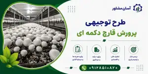 طرح پرورش قارچ دکمه ای