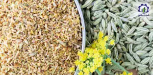بررسی بازار داخلی و خارجی فارم پرورش رازیانه