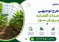 طرح احداث گلخانه پرورش موز