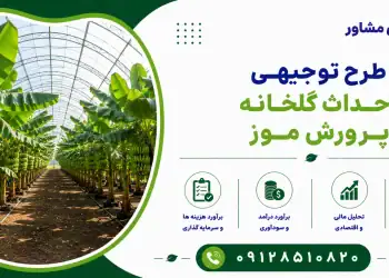 طرح احداث گلخانه پرورش موز