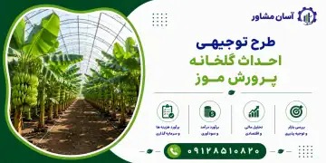 طرح احداث گلخانه پرورش موز