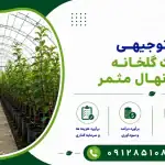 طرح احداث گلخانه پرورش نهال مثمر