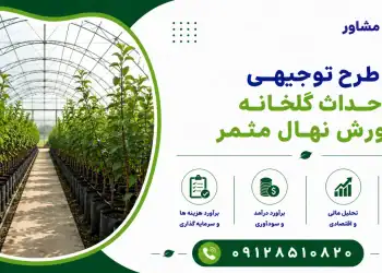 طرح احداث گلخانه پرورش نهال مثمر