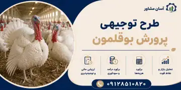 طرح پرورش بوقلمون