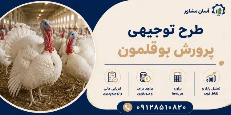 طرح پرورش بوقلمون