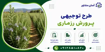 طرح پرورش رزماری