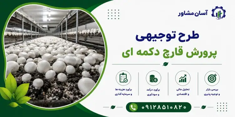 طرح پرورش قارچ دکمه ای