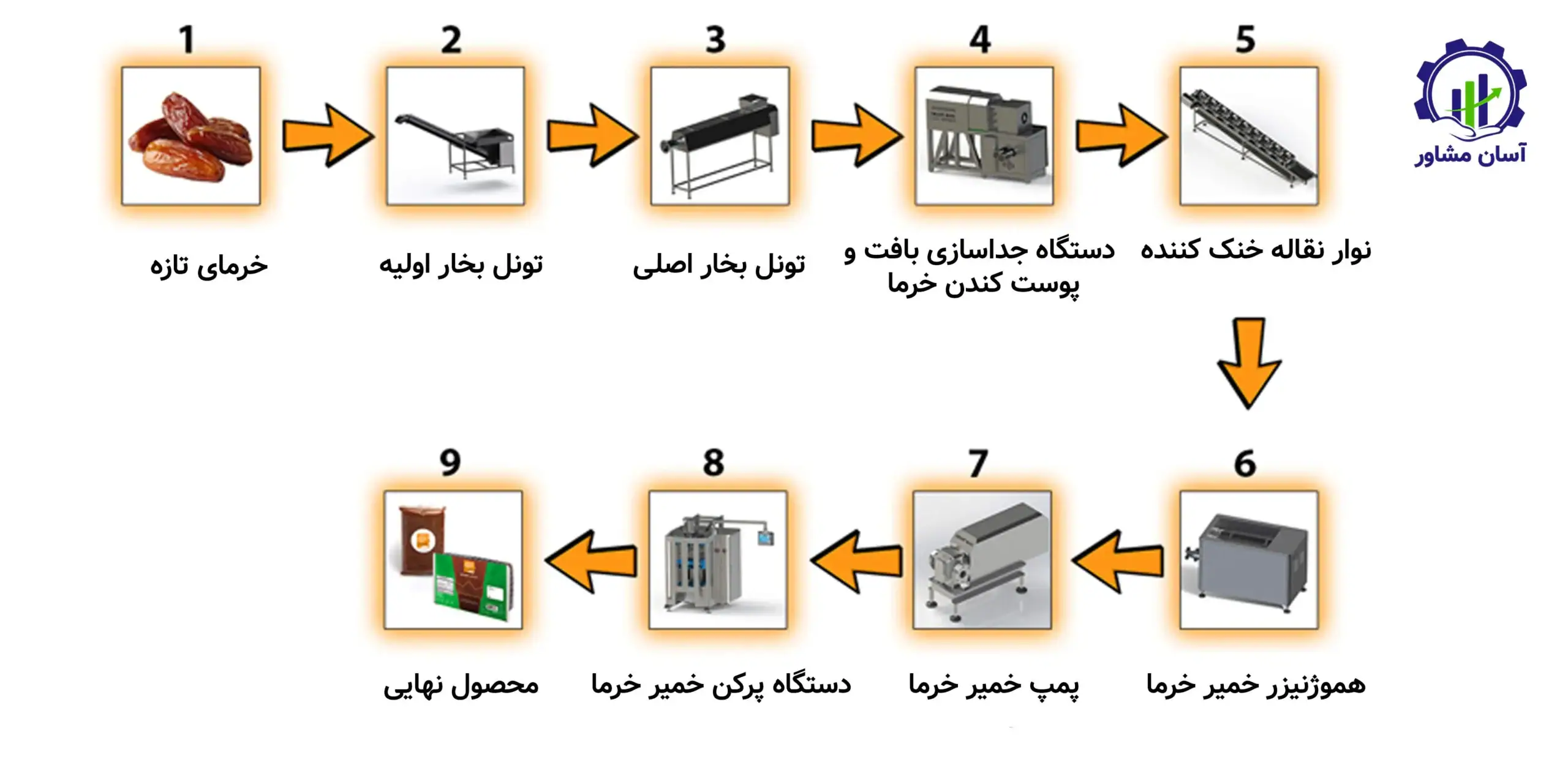 روند تولید و بسته بندی خرما؛ راهنمای جامع و تخصصی