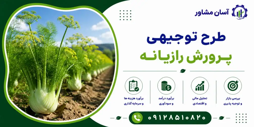 طرح پرورش رازیانه