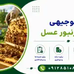 طرح پرورش زنبور عسل