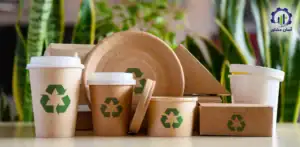 بررسی فرآیند تولید ظروف یکبار مصرف گیاهی