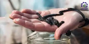 طرح توجیهی احداث فارم پرورش زالو