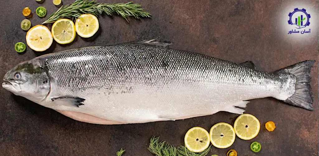 طرح توجیهی احداث فارم پرورش ماهی قزل آلا