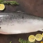 طرح توجیهی احداث فارم پرورش ماهی قزل آلا