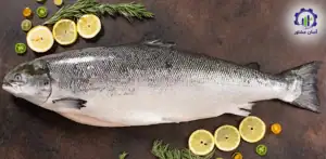 طرح توجیهی احداث فارم پرورش ماهی قزل آلا