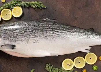 طرح توجیهی احداث فارم پرورش ماهی قزل آلا