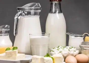 طرح توجیهی تولید لبنیات سنتی