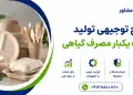 طرح تولید ظروف یکبار مصرف گیاهی