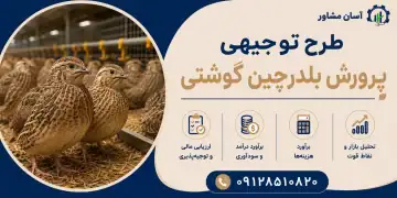 طرح پرورش بلدرچین گوشتی