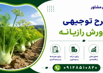 طرح پرورش رازیانه