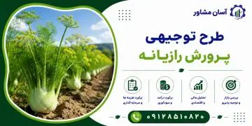 طرح پرورش رازیانه