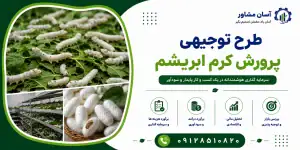 طرح پرورش کرم ابریشم