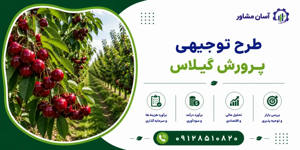 طرح پرورش گیلاس