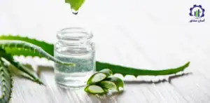 بررسی بازار داخلی و خارجی طرح احداث گلخانه پرورش آلوئه ورا