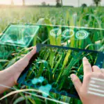 طرح توجیهی احداث پلتفرم یکپارچه هوشمند سازی کشاورزی