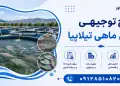 طرح پرورش ماهی تیلاپیا
