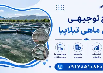طرح پرورش ماهی تیلاپیا