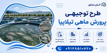 طرح پرورش ماهی تیلاپیا
