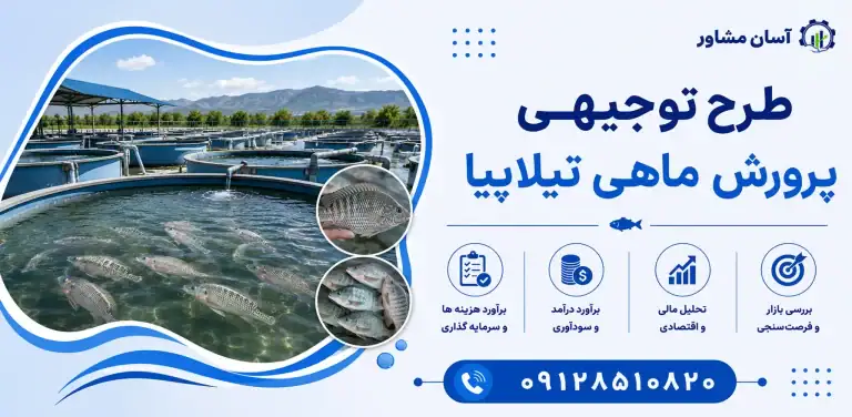 طرح پرورش ماهی تیلاپیا
