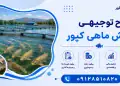 طرح پرورش ماهی کپور