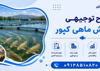 طرح پرورش ماهی کپور