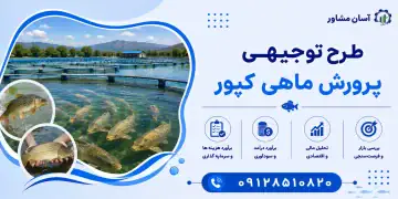 طرح پرورش ماهی کپور