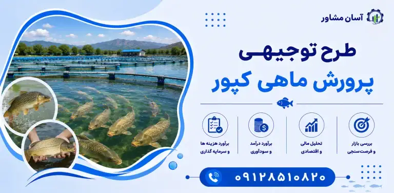 طرح پرورش ماهی کپور