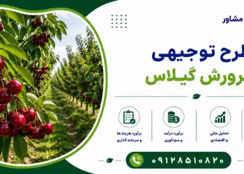طرح پرورش گیلاس