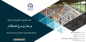 نقشه جانمایی (سایت پلان) مرغداری مرغ تخمگذار