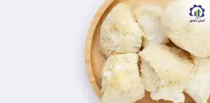 بررسی بازار داخلی و خارجی طرح احداث فارم پرورش قارچ یال شیر