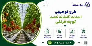 طرح احداث گلخانه کشت گوجه فرنگی